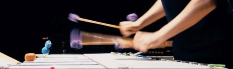 Adrien Trybucki: Amadinda