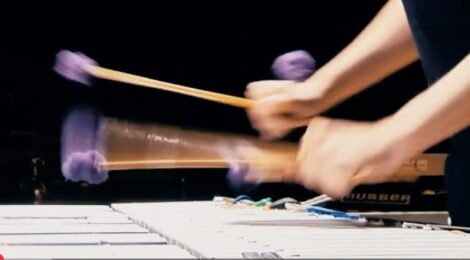 Adrien Trybucki: Amadinda