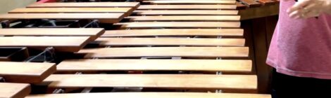 Marimba contrabaixo e marimba baixo