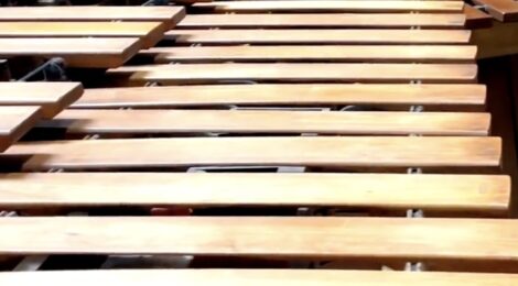 Marimba contrabaixo e marimba baixo