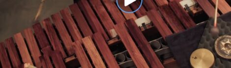 "Street Band": Aurél Holló