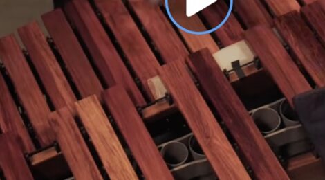 "Street Band": Aurél Holló